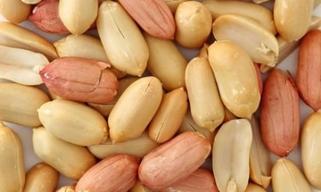 Yer Fıstığı Kilo Yapar mı?