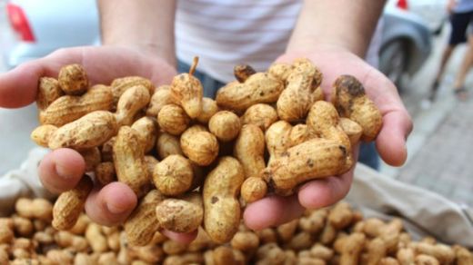 Haşlanmış Yer Fıstığı Kullanımı ve Faydaları Nelerdir?