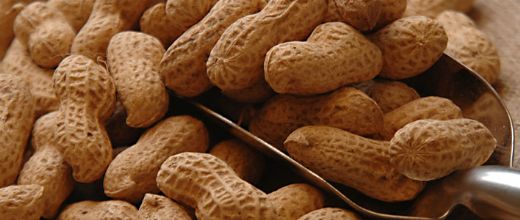 Kabuklu Yer Fıstığı Kilo Yapar mı?