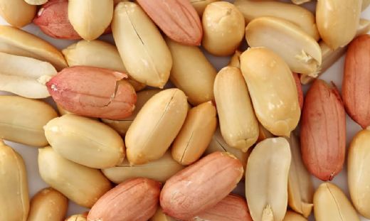 Yer Fıstığı Faydaları İbrahim Saraçoğlu