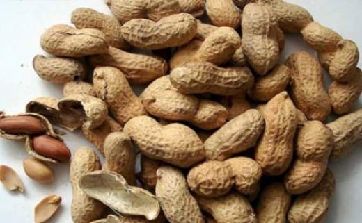 Yer Fıstığı Şeker Hastalığı Belirtileri ve Tedavisi