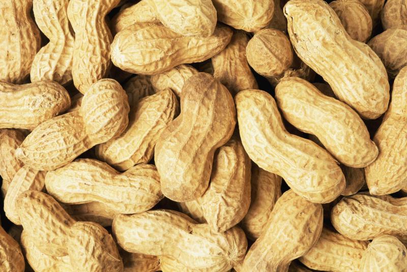 Yer Fıstığı ile Zayıflama Kullanımı ve Faydaları Nelerdir?